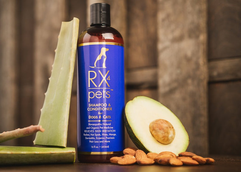 [Australia] - RX4 Dog Cat Shampoo Conditioner - Naturally Organic Oatmeal Aloe Puppy Treatment, Supplies Relief for Smelly Pets, Mange, Dry Itchy Skin, No More Scratching,16oz 