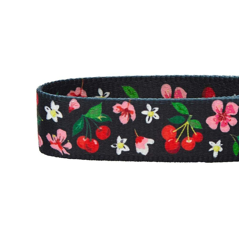 [Australia] - Blueberry Pet 10 Patterns Spring Scent Floral Dog Collars, Personalized Collars Regular Collar - X-Small Black 