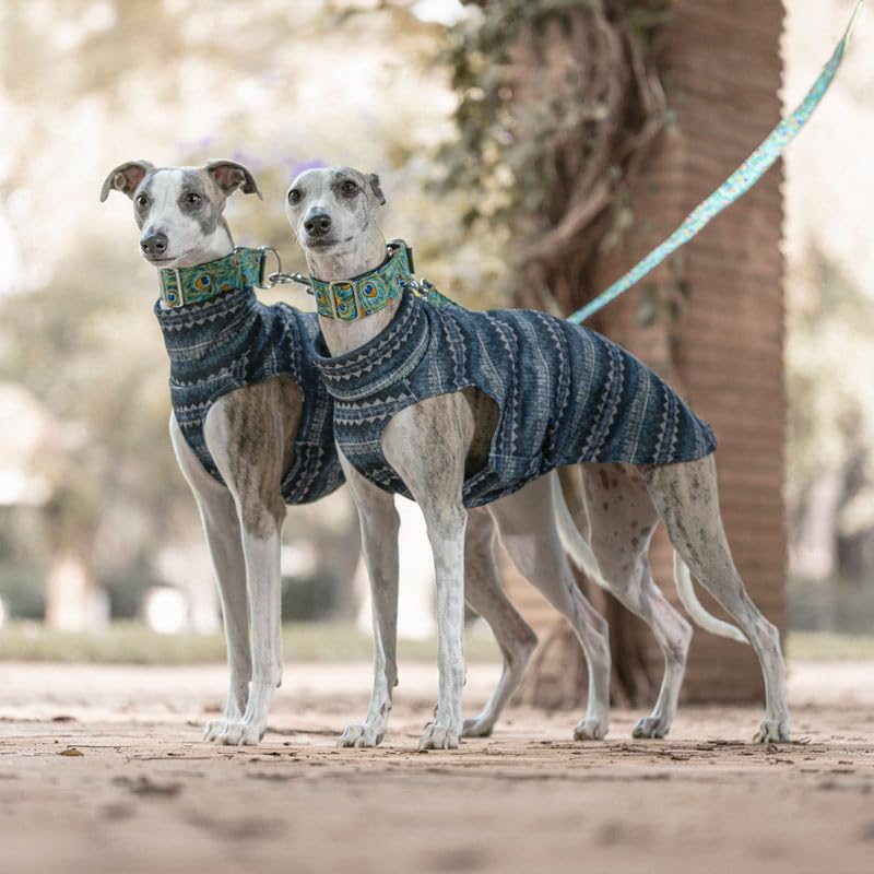 Fleece Jumper for Whippets: Style, Warmth, and Comfort - Elegant Design Cold Protection - Ideal for Whippets, Greyhounds, and Italian Greyhounds, Ethnic, S Small - PawsPlanet Australia
