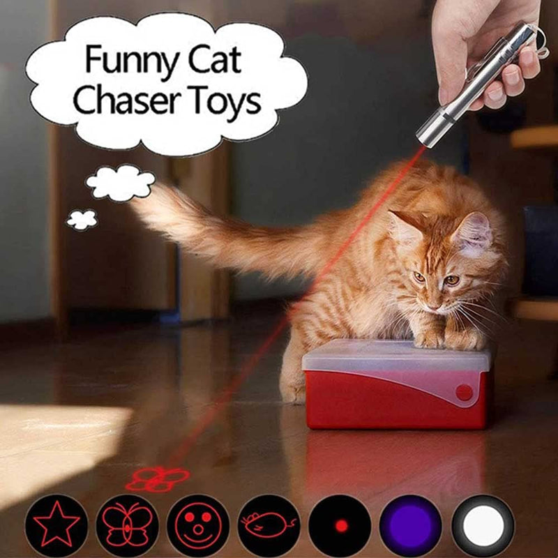 Cat Toy Interactive for Indoor Cats Dog Chaser Toys for Pets Playing Training Exercise Entertain Tools Dog Kitten Funny Toy A - PawsPlanet Australia