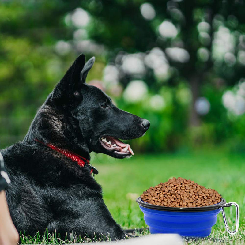 [Australia] - SLSON Collapsible Dog Bowl, 2 Pack Collapsable Dog Water Bowls for Cats Dogs, Portable Pet Feeding Watering Dish for Walking Parking Traveling with 2 Carabiners Large Large Blue+Green 