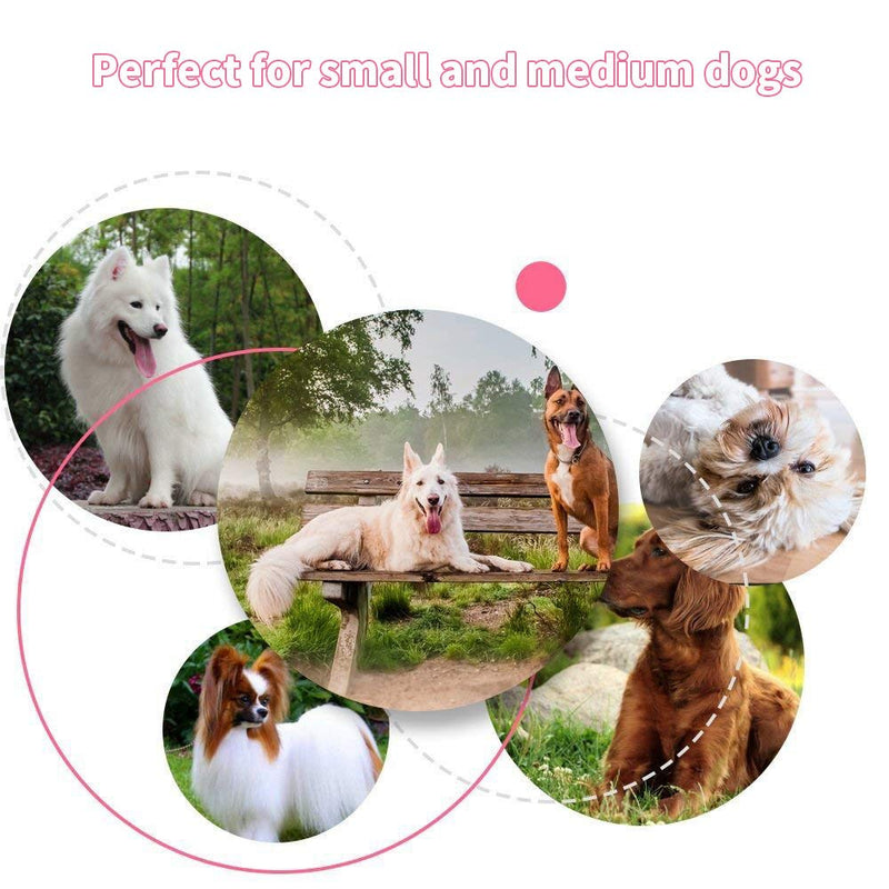 Achort Dog Rope Toy, 6 pcs Dog Toy Set Bone Tug Ball Rope Chew Toy for Pet Puppy Small Medium Dog, Durable Cotton Braided Rope Teething Toy for Dog Teeth Training Dental Health Cleaning - PawsPlanet Australia