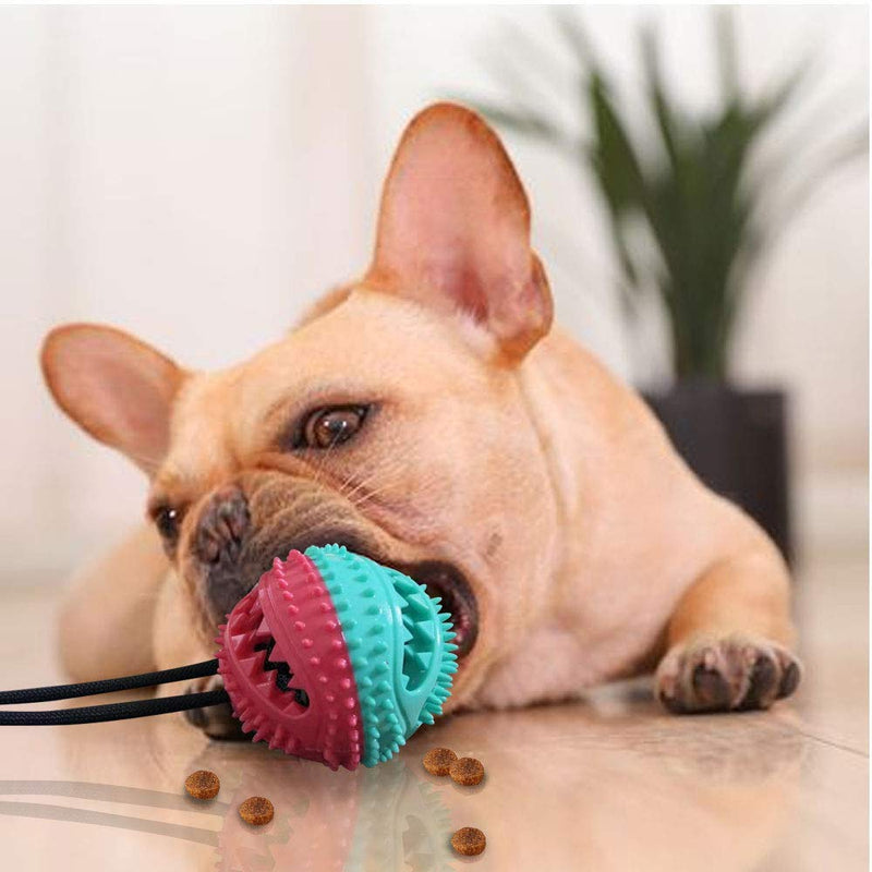 Amasawa Multifunction Pet Molar Bite Toy,Suction Cup Dog Toy,Dog Toothbrush Toy, Durable Dog Tug Rope Ball Toy With Suction Cup Molar Chew Toy Cleaning Teeth For Pet Dog Puppy - PawsPlanet Australia