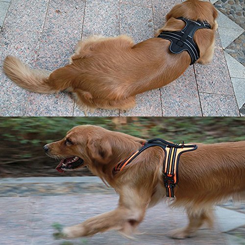 Fit Into Everyway Sturdy Nylon Range Of Front Side No Pull Dog Harness 3M Reflective Padded Adjustable Pet Vest with Handle S Chest 19-22.5" Black - PawsPlanet Australia