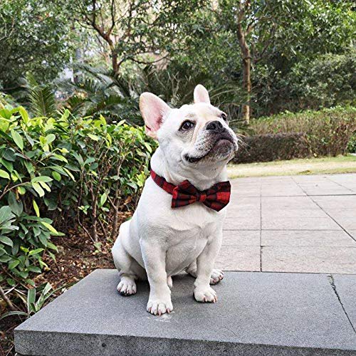 Pet Heroic Pet Dog Cat Collar with Grid Bow tie, Adjustable Plaid Pet Dogs Cats Comfortable Durable Bowtie Collars for Small Medium Large Dogs Cats in 3 Styles Red-grid S - PawsPlanet Australia