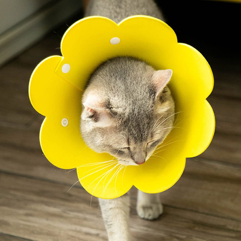 2 Pcs Adjustable Cat Collar Protective Pet Cone Elizabeth Protective Collar Sunflower Cat Collar for Protect Cat, yellow,Dx028 - PawsPlanet Australia