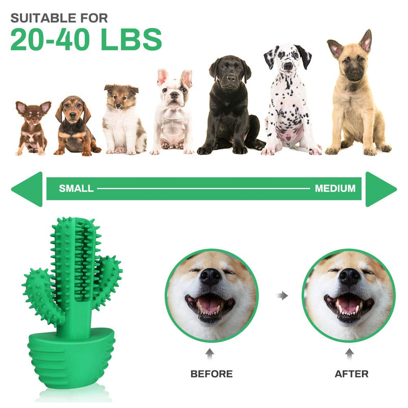 Achort Dog Toothbrush Stick, Puppy Dental Brushing Stick, Upgrade Natural Rubber Dog Chew Tooth Cleaner Teeth Cleaning Massager Toys for Puppies & Adult Dog with 2 Cleaning Brushes (Green) - PawsPlanet Australia