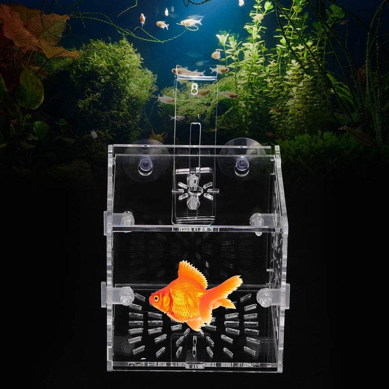 GLOGLOW Aquarium Breeder Box, Acrylic Transparent Fish Breeding Box Tank Hatchery Incubator Aquarium Isolation Box 10CM*10CM*10CM - PawsPlanet Australia