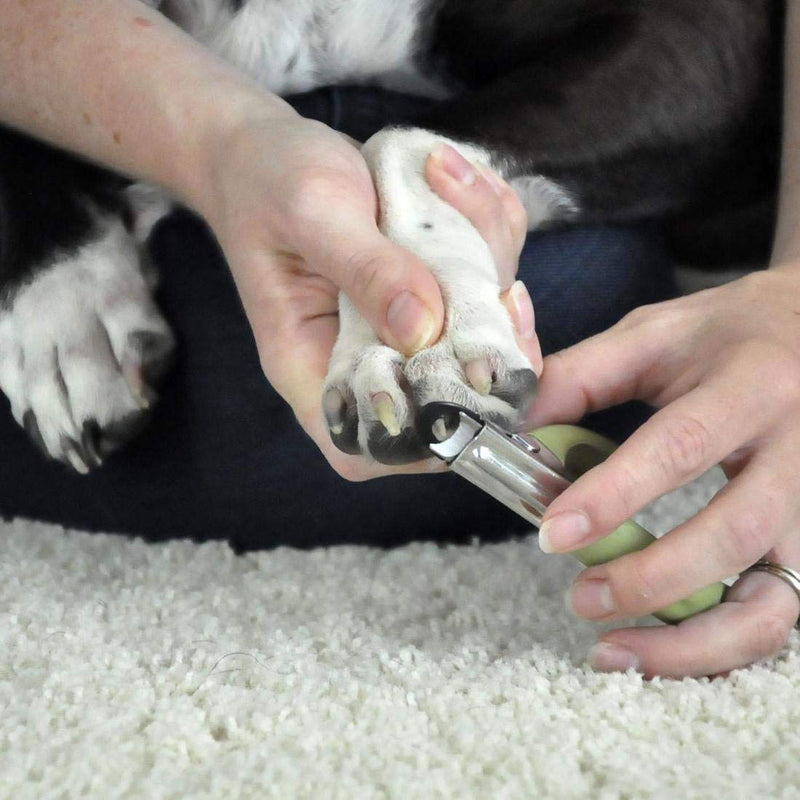 Coastal Pets Safari® Guillotine Nail Trimmer, Small - PawsPlanet Australia