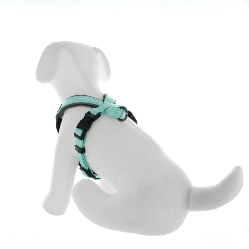 [Australia] - Pawtitas Pet Training Soft Adjustable Reflective Oxford Padded Puppy/Dog Harness, Step in or Vest Harness, Comfort Control, Training Walking - No More Pulling, Tugging, Choking, Prevent Pulling Neck 14"Chest 14" to 18"Width 5/8 Inch Teal 