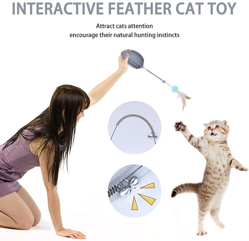 Petdexon Catnip Toys 5 in 1 Interactive Mouse Cat Chew Toy Upgraded Cat Feather Teaser Wand Toys - Kitten Puzzle Toy with Spring Bells - Rubber Food Dispenser Toy for Indoor Cats(Gray) - PawsPlanet Australia