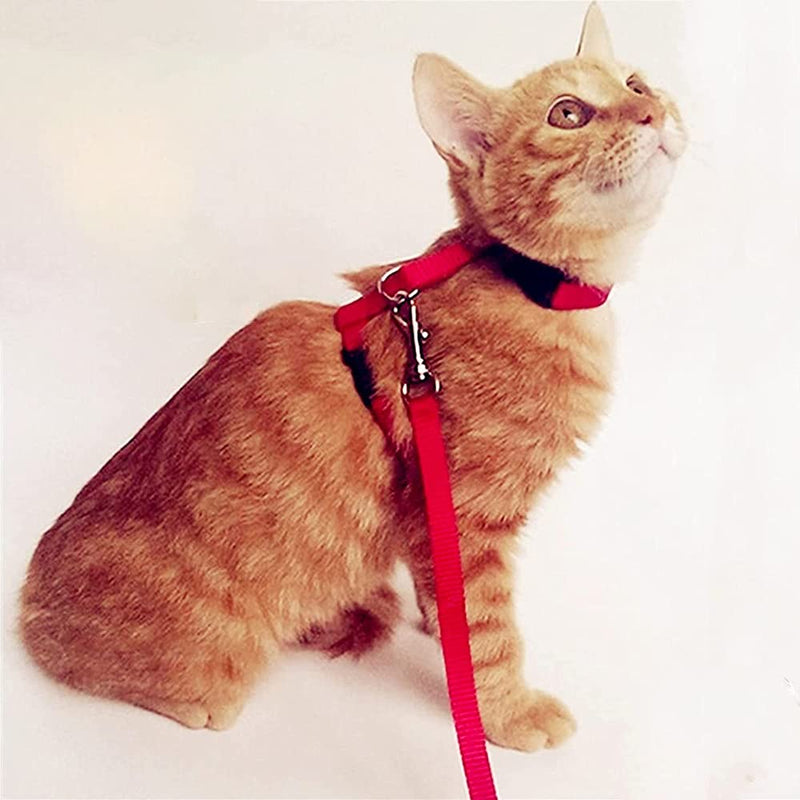 TOTQX Red Cat Harness Adjustable, Escape-Proof cat Vest, cat Harness with Leash, for Cats Small Dogs Rabbits Reflective Stripes cat Vest - PawsPlanet Australia