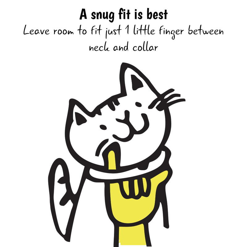 Kittyrama Cat Collar with Bell. As Seen in VOGUE. Breakaway, Quick Release, Hypoallergenic, Vet Approved. Lightweight Kitten Collar. Soft & Comfy. Aqua Adult - PawsPlanet Australia