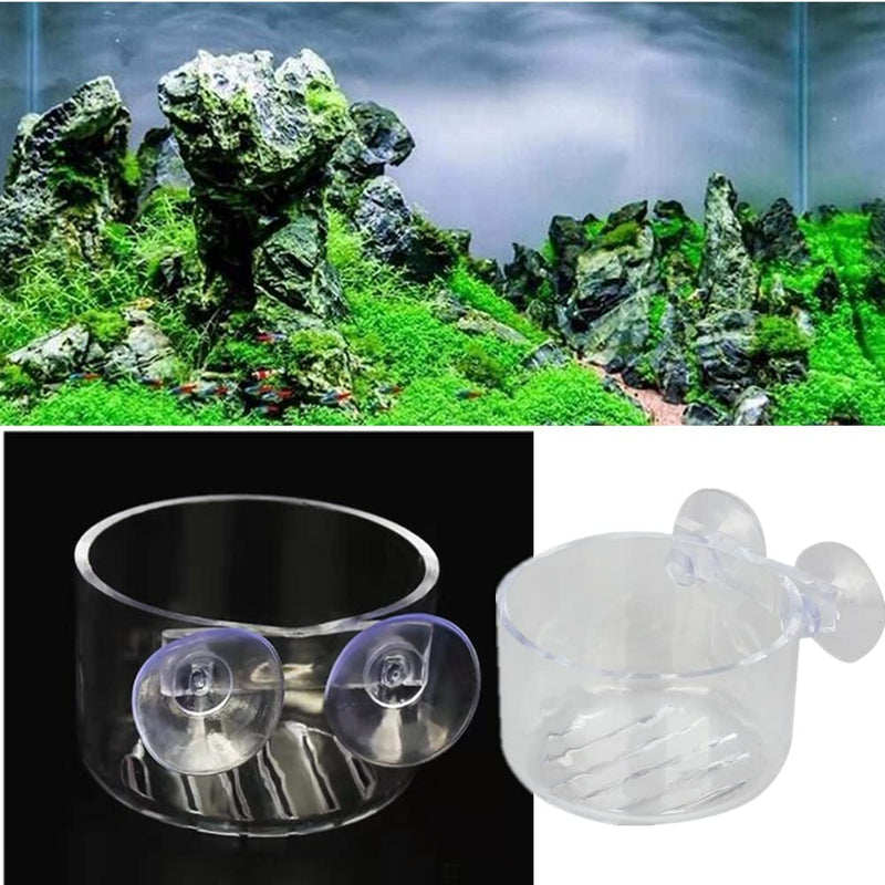 ZhanshuidefaQ 2 Pcs Red Worm Feeder Acrylic Fish Tank Plant Shrimp Feeder Bowl Floating Bloodworm Water Food Dish Fish Feeding Cup with Suction Transparent Fish Feeding Cup Tank for Aquarium Reptiles - PawsPlanet Australia