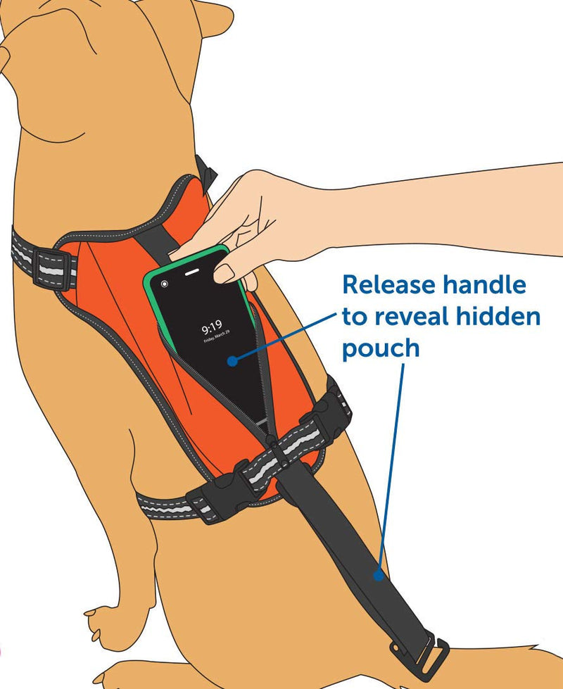 [Australia] - PetSafe Walk-Along Outdoor Dog Harness Medium Orange 