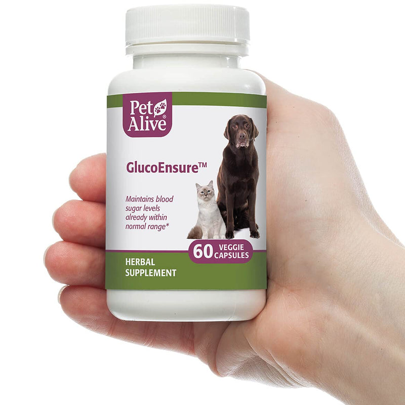 PetAlive GlucoEnsure - All Natural Herbal Supplement for Maintaining Blood Sugar (Glucose) Levels Already in The Normal Range in Pets - 59 mL - PawsPlanet Australia