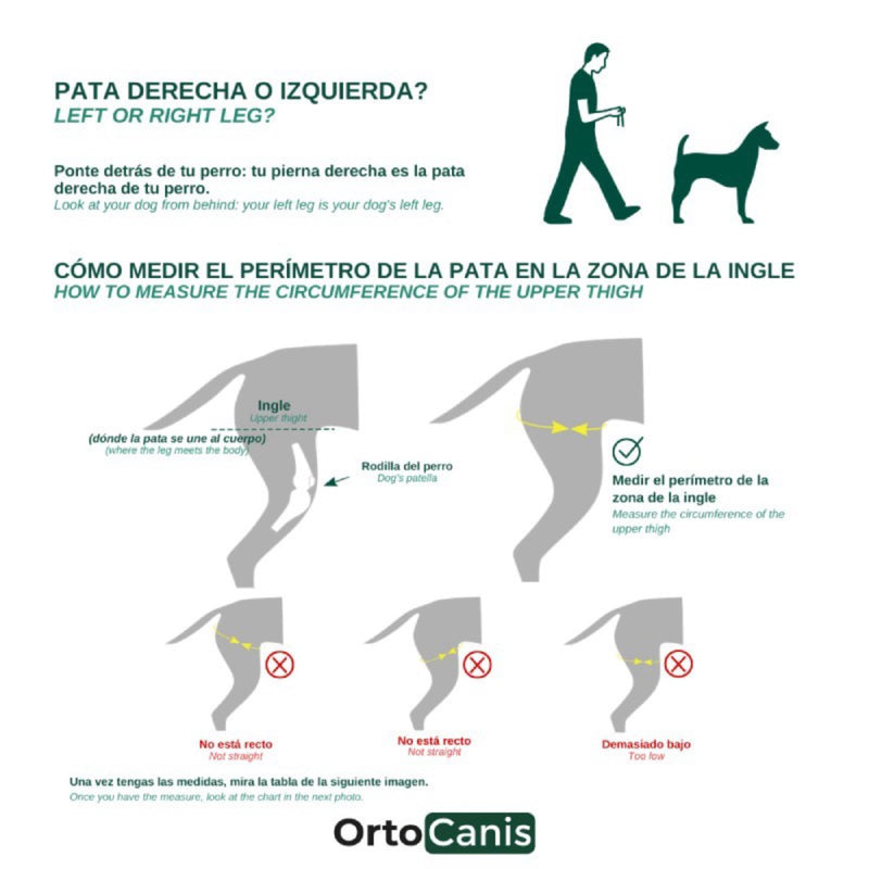 Ortocanis - knee support for dogs with cruciate ligament injuries, patellar luxation or osteoarthritis, size XXS, left leg size XX-Small - PawsPlanet Australia