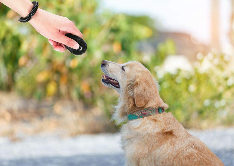 [Australia] - FNAF Craft Pet Training Clicker with Wrist Strap Dog Training Clicker Set Clicker Training Tools for Dog, Cat, Bird, Horse, etc 4 color 