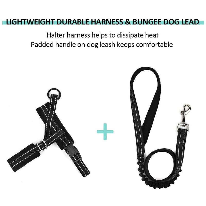 [Australia] - SlowTon No Pull Small Dog Harness and Leash, Heavy Duty Easy for Walk Vest Harness Soft Padded Reflective Adjustable Puppy Harness Anti-Twist Pet Lead Quick Fit for Small Dog Cat Animal XX-Small Black 