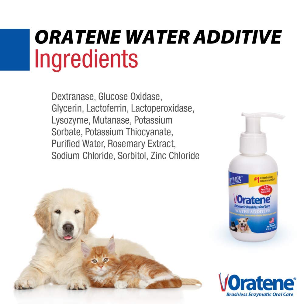 Zymox Oratene Enzymatic Brushless Oral Care Water Additive, 4oz