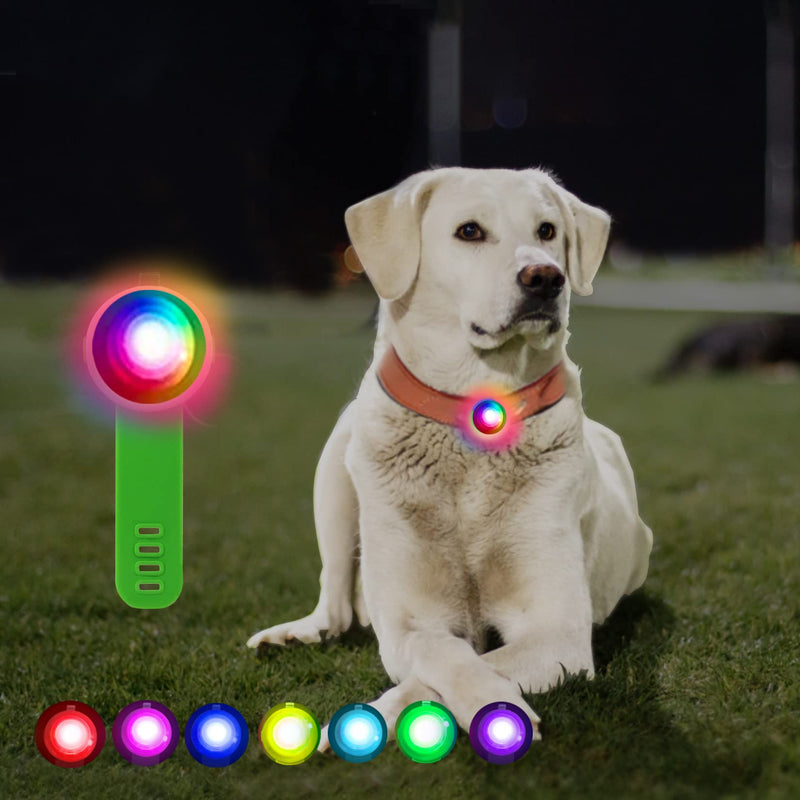 GothicBride Safety LED Flashing Light, Safety Pet Lights USB Rechargeable for Dogs Cats Pets, 3 Flashing Modes LED Light Keychain for Night Walks Running Camping green - PawsPlanet Australia