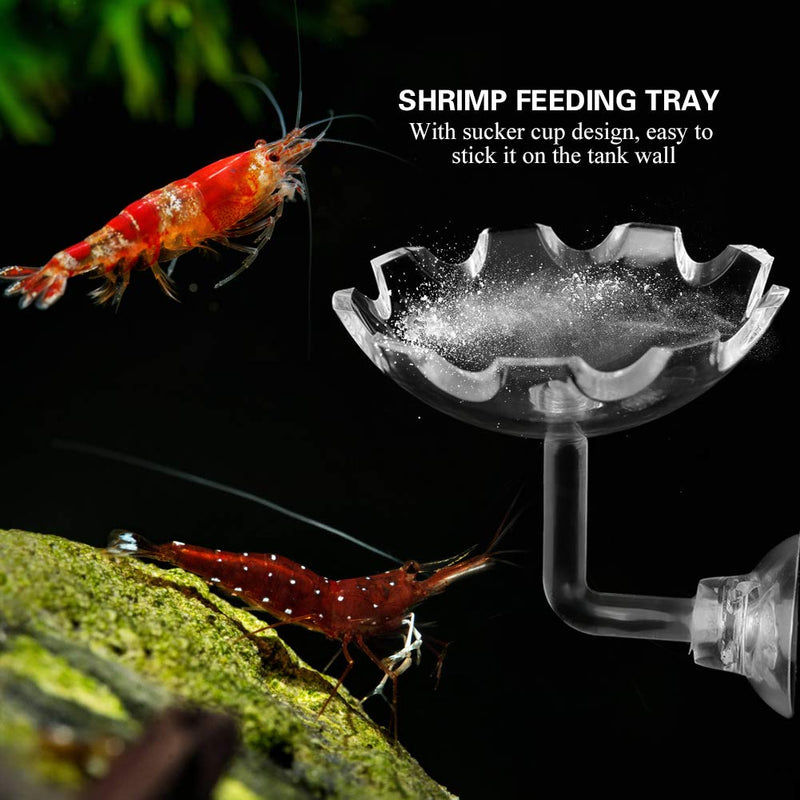 Aquarium Feeding Dish, Transparent Acrylic Shrimp Feeding Dish Bowl Suction Cup Fish Tank Feeding Cup for Feeding Shrimp Fish - PawsPlanet Australia