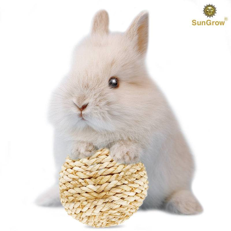 [Australia] - SunGrow Rabbit Rope Ball, Edible Teething Grass Ball, Chewable Toy, Nibbling, Foraging, Gnawing, Keeps Bunny’s Teeth Trimmed, Suitable for Guinea Pigs, Chinchillas & Other Pocket Pets, 1-pc 