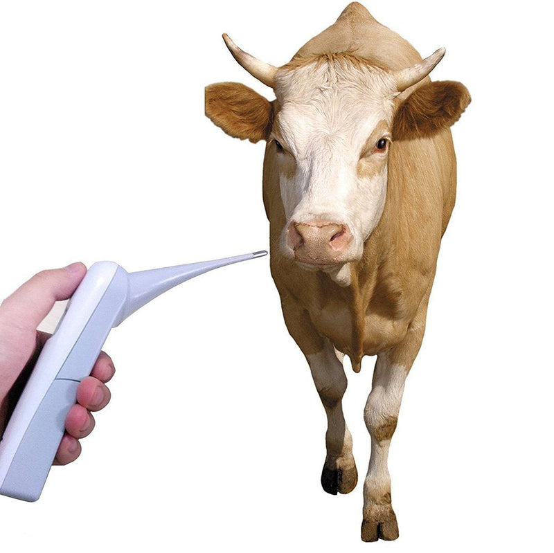Animal Electronic Ehermometer Pet Thermometer Digital Thermometer is a Fast Rectal Thermometer for Dogs,Horse, Cats, Pigs,Sheep - PawsPlanet Australia