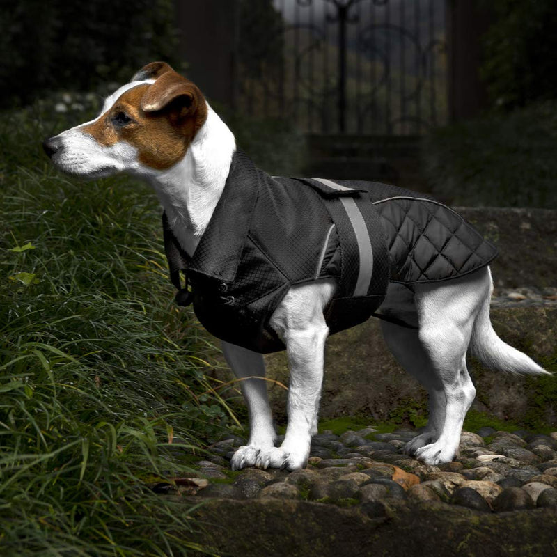 Croci Falcon Jacket 25-11 g 25 CM - PawsPlanet Australia