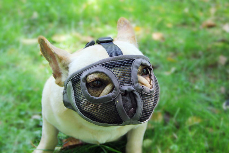 Short Snout Dog Muzzles - Adjustable Breathable Mesh Dog Muzzle with Eyehole for Bulldog Boston Terrier And Short-snouted Breeds to Anti-Biting Barking and Licking Chewing Barking Training Dog Mask S(9"-12") Grey - PawsPlanet Australia