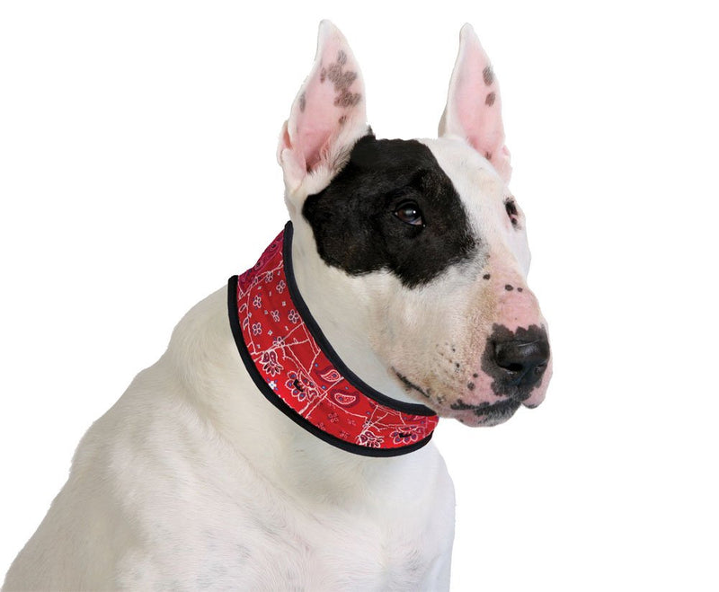 AquaCoolkeeper Cooling Collar L, Red - PawsPlanet Australia