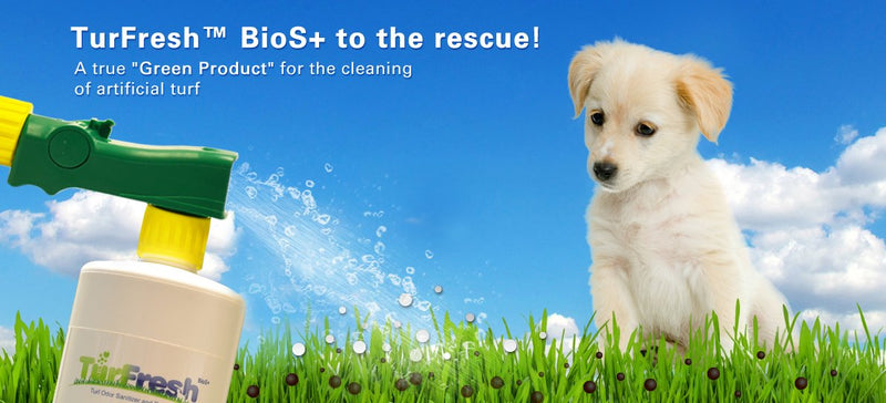 [Australia] - BioTurf BioS+ Artificial Turf Pet Odor Eliminator and All Purpose Surface Cleaner. Our BioS+ Enzyme Technology Allows The Product to be Very Friendly to All Surfaces Including Tile, Carpet and Grass. 