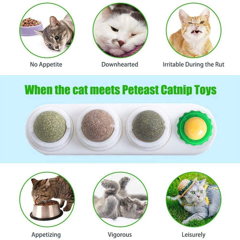 PNNNU catnip toys for cats, Catnip Toys 4 in 1 Self-Adhesive Edible Catnip Toys,Rotatable Licking Treats Stick-on Wall Toy for Cats Kitten - PawsPlanet Australia