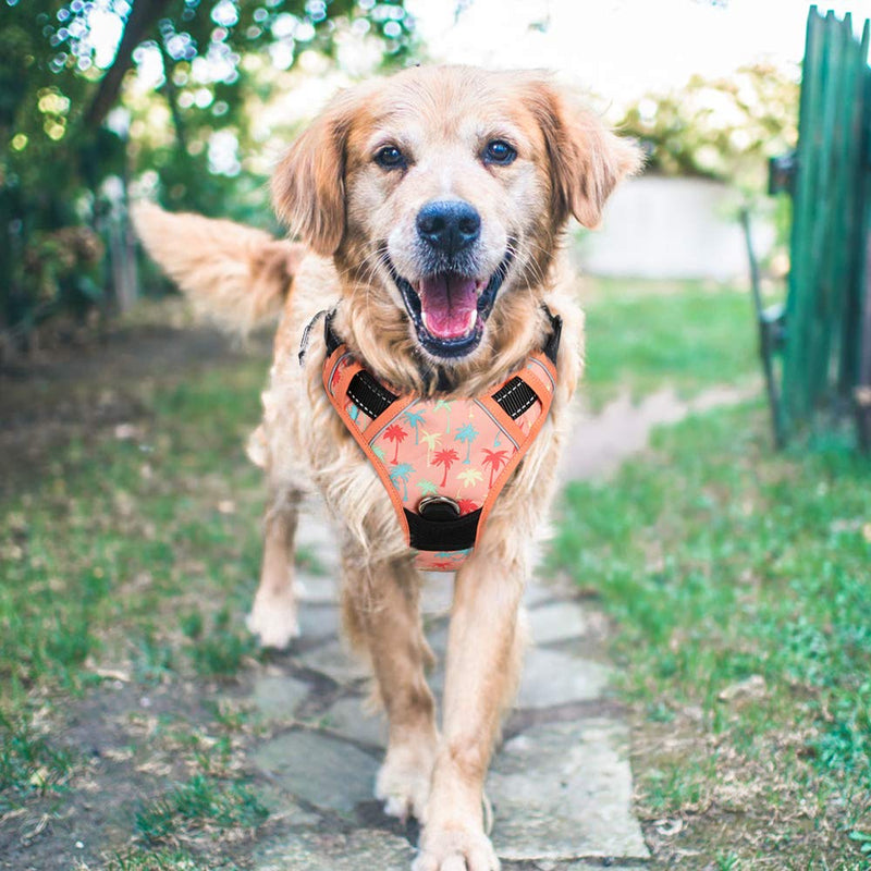 No Pull Dog Harness Large Pink with Tree Pattern, Front Clip Vest Harness with Handle Puppy Chest Padded Adjustable Reflective Breathable Mesh Lightweight Easy Control for Outdoor Walking - PawsPlanet Australia