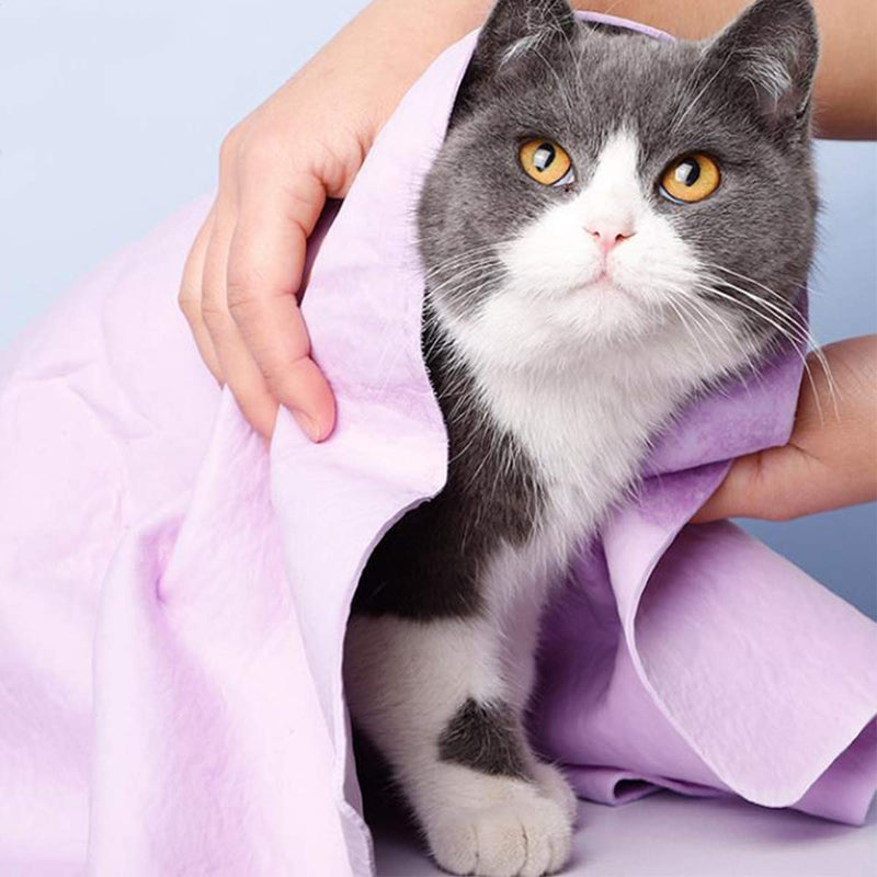 Xiuyer Pet Microfibre Towel, 2pcs Pet Bath Brush 3pcs Dog Absorbent Soft Towel Quick Drying for Small Medium Animall (66cm*43cm) - PawsPlanet Australia