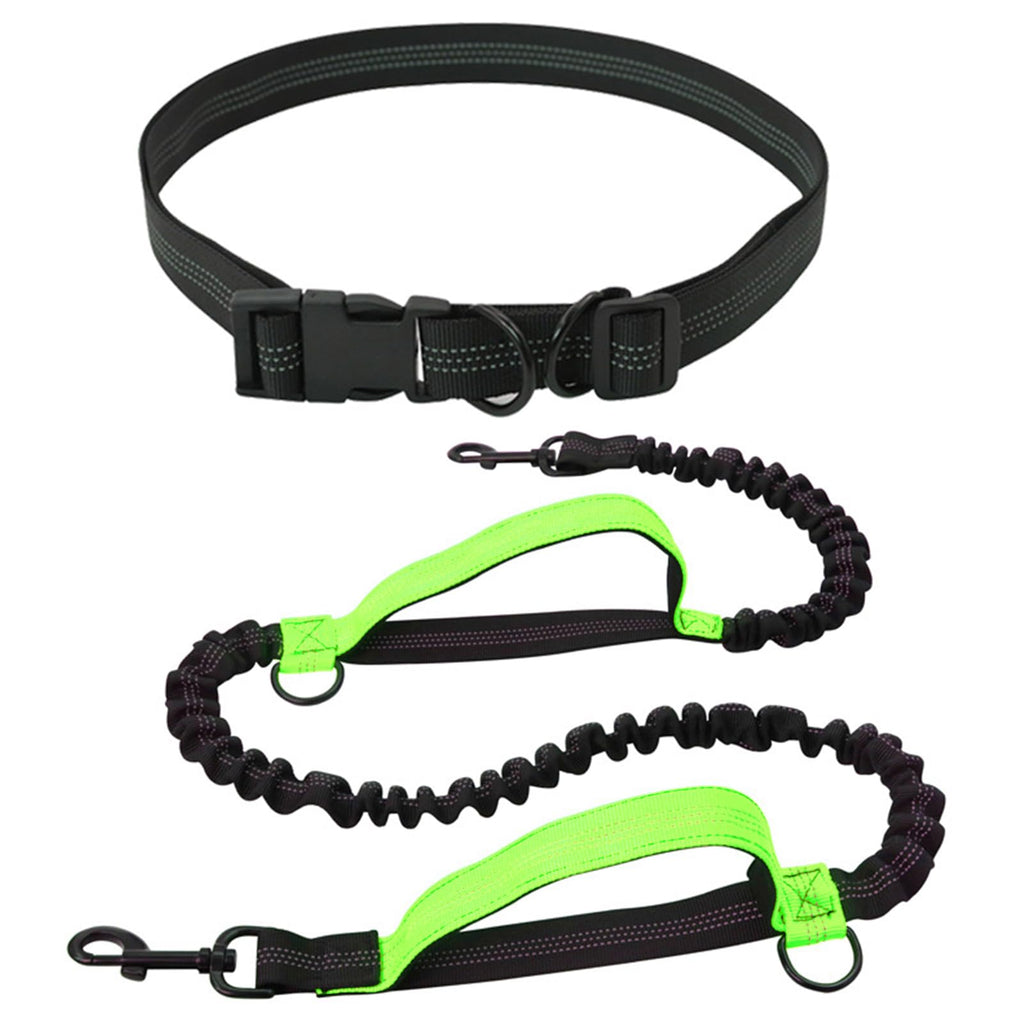 Hands-free dog leash, jogging leash, dogs with waist belt, elastic hands-free leash, running leash, retractable shock-absorbing dog leash with double handle, waist belt for hiking, running, medium-sized large dogs - PawsPlanet Australia