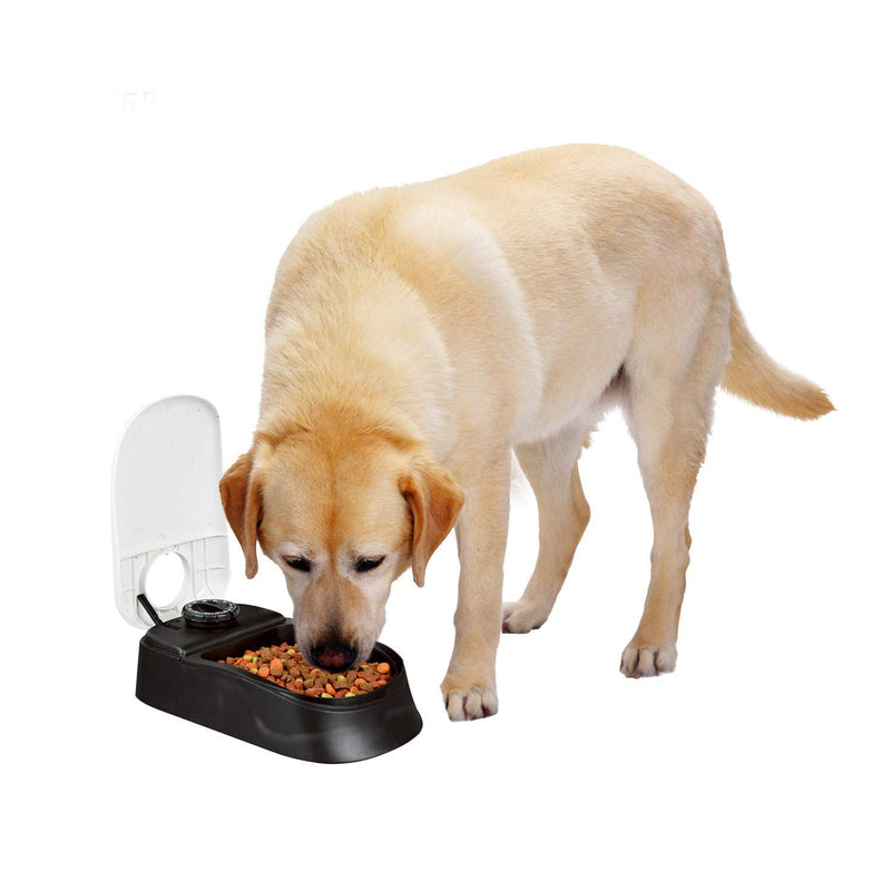 [Australia] - PAWISE Automatic Pet Feeder for Dogs and Cats, Food Dispenser Station with Timer, 100% BPA Free, Dishwasher Safe, Great Gift Ideas 1.5 Cup-Single 