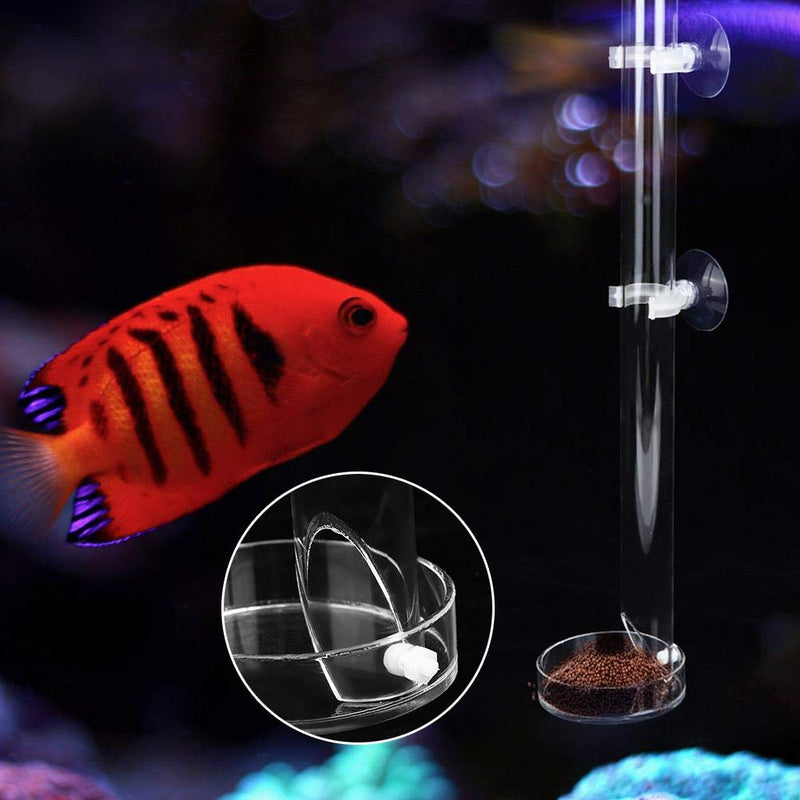 Pssopp Shrimp Feeding Tube Fish Acrylic Transparent Durable Aquarium Fish Crystal Shrimp Feeder Fish Tank Feeding Tube(20cm) 20cm - PawsPlanet Australia