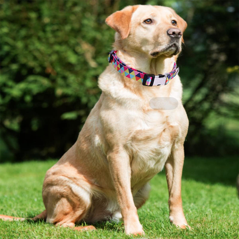 Cute Dog Collar for XS Small Medium Large Dogs, Soft Nylon Pet Collar,3D Print Multicolor Patterns Collars Adjustable for Dogs Girl Boy Puppy Walking Running Training (Luminous Skull L) 4 L for Neck 15-22" - PawsPlanet Australia