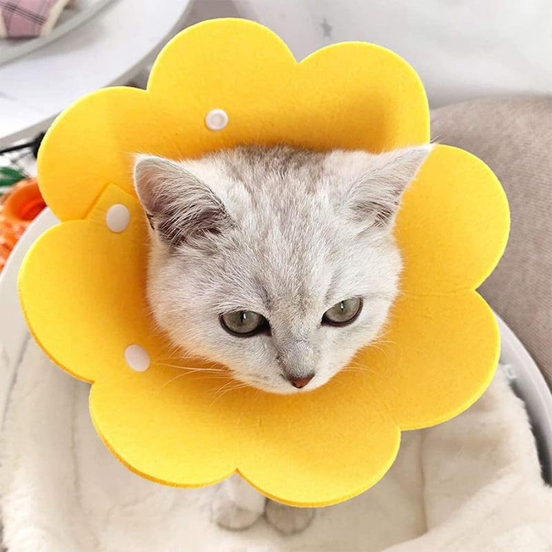 Cdemiy Protective Collar Cat Neck Brace, 2 Pieces Pet Neck Brace Anti-lick, Adjustable Soft Collar, Cat Collar for Protective Collar Recovery from Wound (M, Yellow and Blue) - PawsPlanet Australia