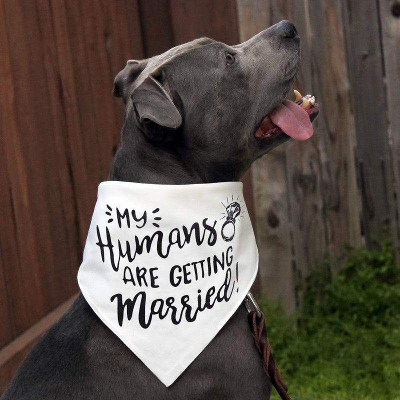 My Humans are Getting Married Dog Bandana, Wedding Dog Bandana, Dog Engagement Announcement, Wedding Photo Prop, Pet Scarf, Pet My Humans Are Getting Married - PawsPlanet Australia