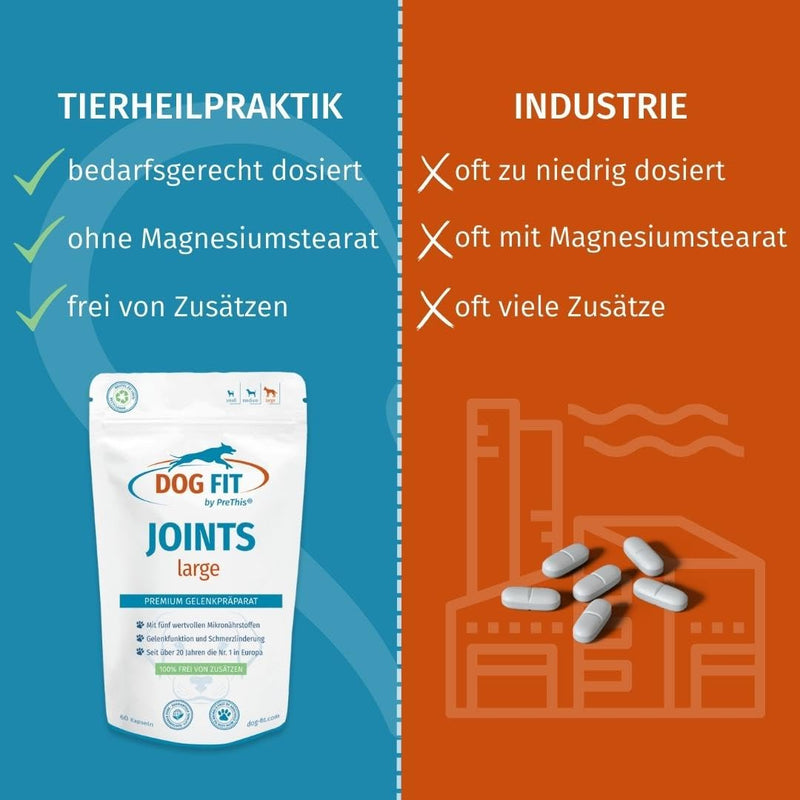 DOG FIT by PreThis® Joints Joint remedies for dogs for osteoarthritis, patellar luxation, spondylosis & hip dysplasia I Glucosamine, MSM, collagen, frankincense, devil's claw without additives I Large JOINTS large (from 25 kg) - PawsPlanet Australia