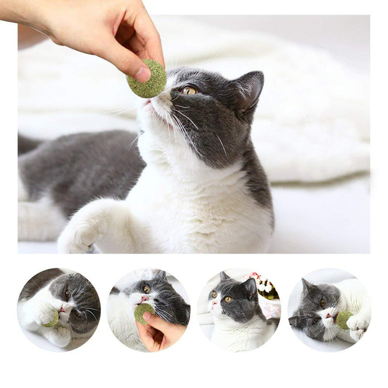3x catnip ball | Natural product | Consists of 100% natural catnip | Relaxation for cats | Cat toys | Promotes the natural play instinct | Supports dental care | 1A quality - PawsPlanet Australia