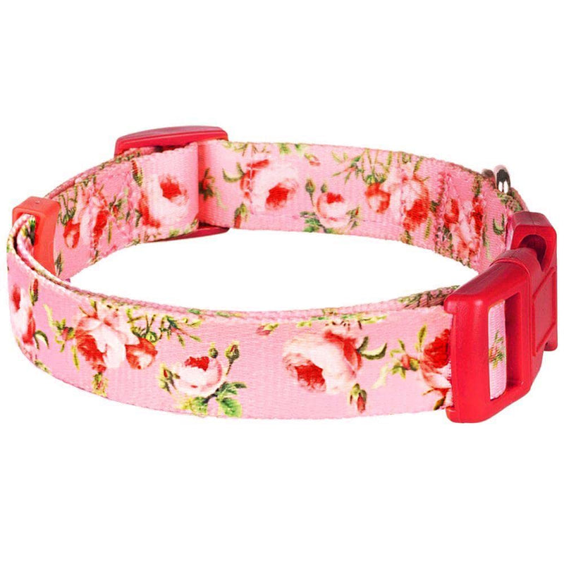 Blueberry Pet 10+ Patterns Spring Scent Floral Dog Collars, Personalized Collars Regular Collar - X-Small Rose Baby Pink - PawsPlanet Australia