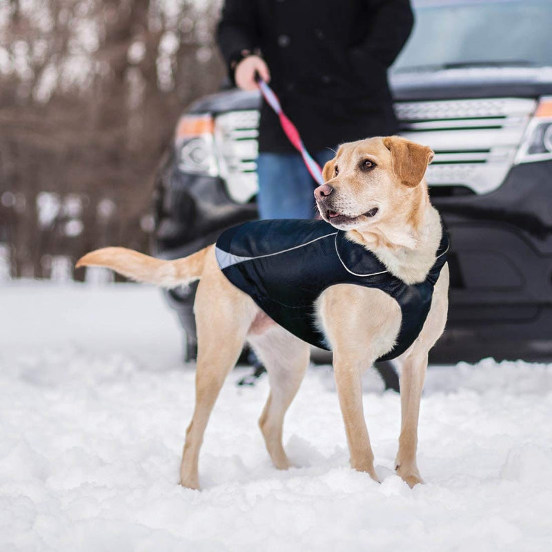 [Australia] - Kurgo Waterproof Dog Jacket | Winter Coat for Dogs | Pet Raincoat with Fleece Lining | Reflective | Easy On & Off | Harness Opening | North Country Coat | For Small, Medium, Large Pets X-Small Black 