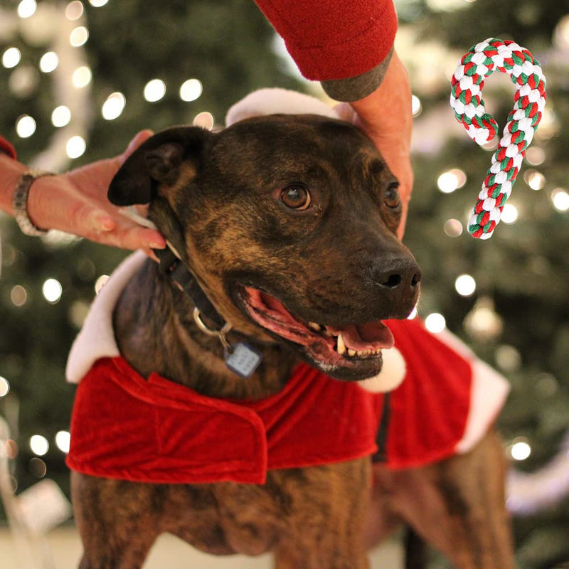 Lircentoud Pack of 3 dog toy rope, dog chew toy Christmas, dog toy Christmas, dog chew toy rope, pet toy Christmas, candy cane toy pet 3 pieces, style 1 - PawsPlanet Australia