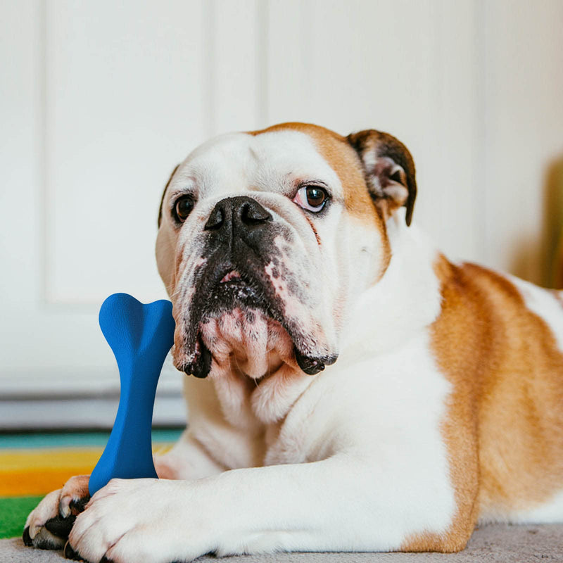 Qesonoo Dog Toys for Aggressive Chewers Dog SuperChewy Tough Dog Bone Toy for Large Medium Dogs Breed Strong Natural Rubber Bones Blue - PawsPlanet Australia