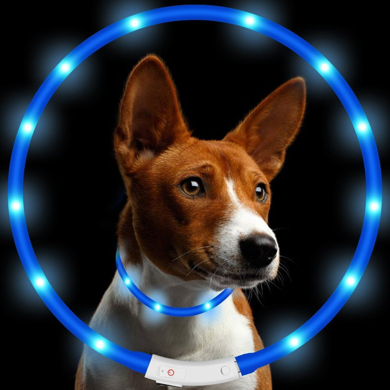 KEKU Pack of 1 PCS- LED Dog Collar, USB Rechargeable, glowing pet dog collar for night safety, fashion light up tube flashing tube collar for small medium large dogs-Blue … blue - PawsPlanet Australia