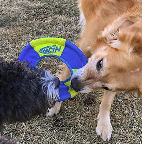 Nerf Dog Toss and Tug Ring Dog Toy, Frisbee, Lightweight, Durable and Water Resistant, 9 Inch Diameter, For Medium/Large Breeds, Two Pack, Green and Orange - PawsPlanet Australia