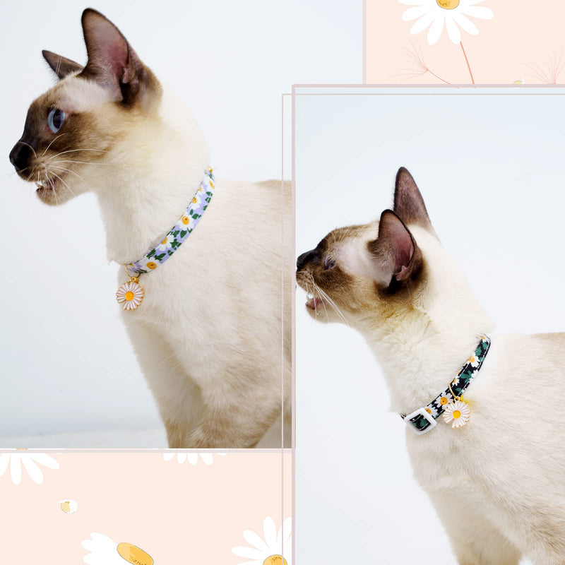 2 Pack Cotton Breakaway Cat Collars with Bell Black&Blue - PawsPlanet Australia